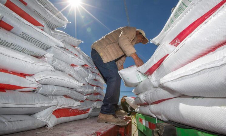 Fertilizantes para el Bienestar avanza con entregas en 17 estados
