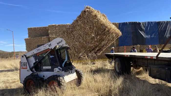 Impulsa Desarrollo Rural en Cuauhtémoc biofertilizantes y apoyo ante efectos de la sequía